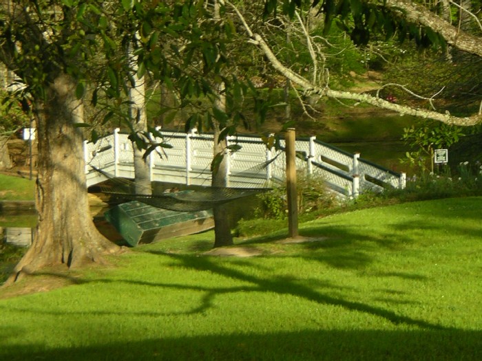 BRIDGE